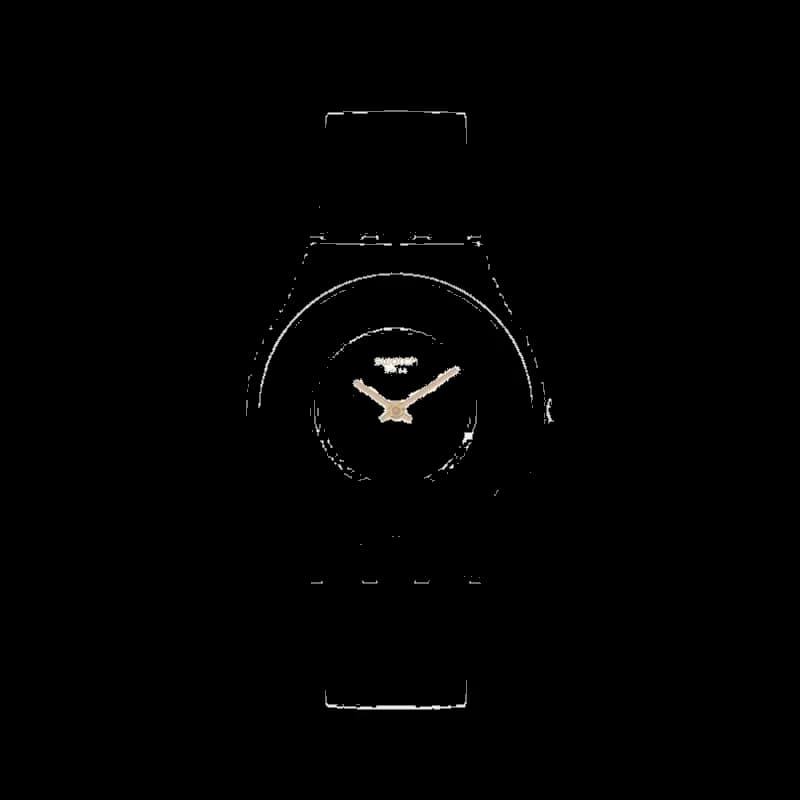SWATCH SS09W100