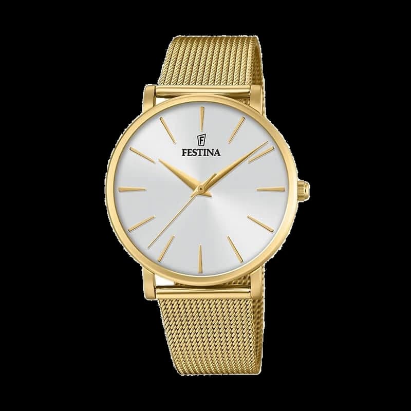 FESTINA F20476/1